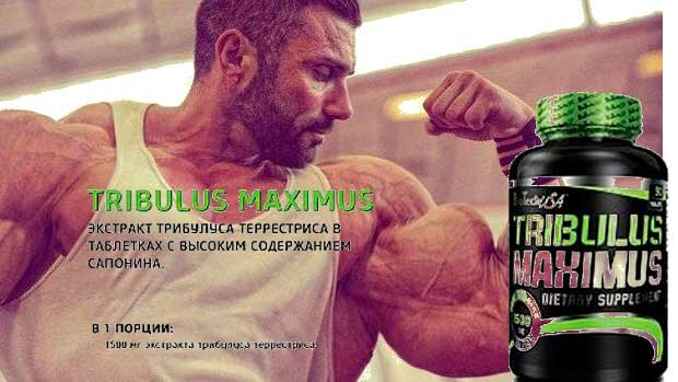 купить и заказать Tribulus Maximus BioTech в Киеве и Украине