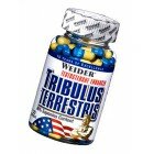 Tribulus Terrestris Weider 120 капсул Препараты Weider nutrition